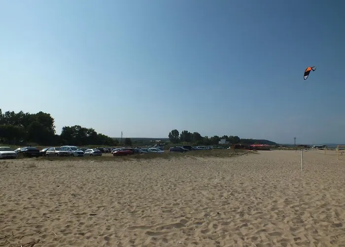 Real Black Sea 슈코르필로브치